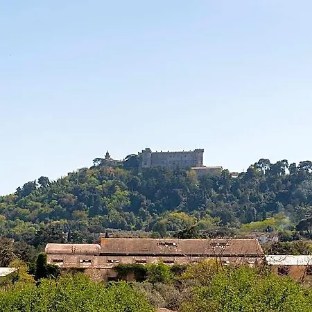 Ha Hotel Bracciano (Rome)